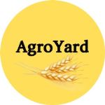AgroYard — оптовая продажа зерна, бобовых и масличных культур