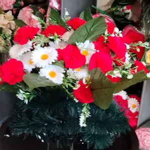 Полянка малая  Гвоздики