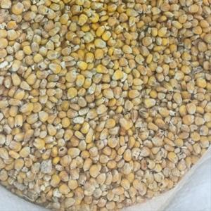 Кукуруза целая