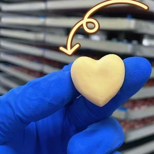 Сублимированный мороженое декор формы 2