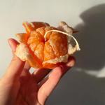 Свеча-мандарин в кожуре 009