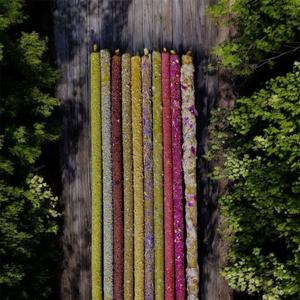 свечи с травой