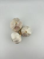 Чеснок Китай