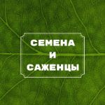 Garden Opt — семена, рассада, саженцы, горшечные растения, удобрения