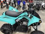 2025 Yamaha Raptor 110 — New