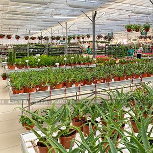 Тепличный комплекс ГБУ Озеленение на 16-я Парковая дом 2а. Москва