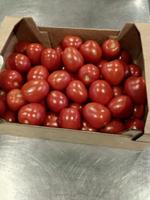 Томат сливовидный красный тепличный