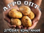 АгроОпт — картофель оптом от 8 р./кг