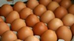 ИП Троян — яйцо куриное