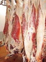 Мясо говядины от взрослого КРС (коровы) (ВК) с вырезкой, замороженное