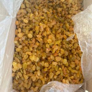 Изюм Голден