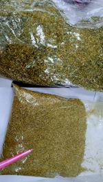 Ромашка аптечная, рубленый цветок Ромашка