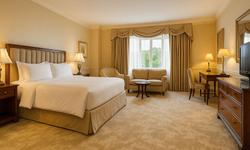 Коммерческие напольные покрытия оптом