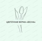 выращивание цветов под срезку и рассады