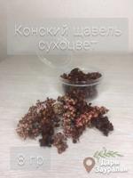 Конский щавель сухоцвет Д Предметы D Items