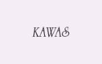 Kawas — детские спортивные костюмы оптом