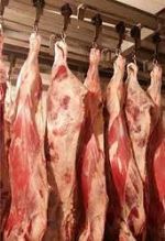 Мясной-мир — мясо оптом свинина говядина