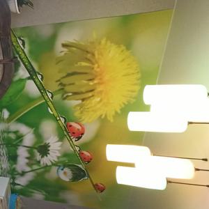 Мягкий кухонный уголок . Лиственница