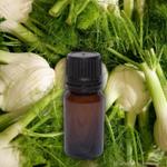 ЭФИРНОЕ МАСЛО ФЕНХЕЛЬ (Foeniculum Vulgare Oil)