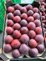 Яблоки свежие, оптом.