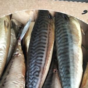 Скумбрия хк