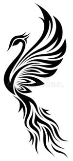 производство одежды из хлопкового трикотажа