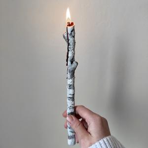 Веточка березы