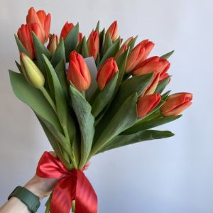 Сорт лалибелла