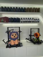 3D Printers Bambu Lab, Anycubic, Creality, Flashforge P1SC, AMS 2PRO, Kobra S1 Combo, Kobra 3 Max, AD5M PRO, K2 Pro Combo