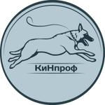амуниция для собак, товары для животных