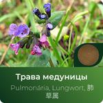 Медуницы экстракт сухой https://www.altai-extracts.ru/extract-medunicy