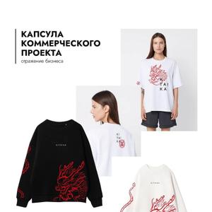 Капсула коммерческого проекта