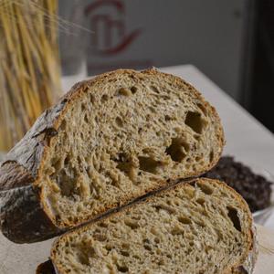 Проведение обучающих семинаров