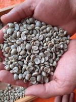 Кофейное зерно Арабика 001