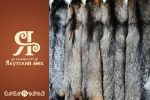 Якутский мех — выделанные меха, шикарный ассортимент