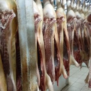 Свинина первая категория