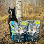 Спонсор наших соревнований по скоростному забегу "Тропа Чемпиона" - корма BISKO