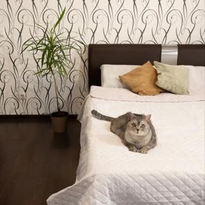 Стеганое покрывало из непромокаемой и антикогтевой  ткани .