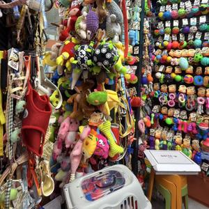 Покупка игрушек для животных на рынке