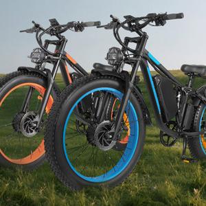 e-bike mountain