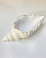 Гипсовая ракушка