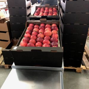 Яблоки сорт &#34;Гала&#34; урожай 2021
упаковка в 5-ти слойный ящик из гофрокартона на 1-2 альвеолы