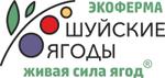 свежие ягоды летом и продукты их переработки круглый год