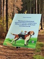 «Необыкновенные приключения девочки
Иры и удивительных человечков»