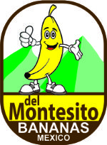 Del Montesito Bananas Mexico — лучшая банановая компания