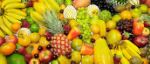FeedEden — оптовая продажа фруктов и овощей со всего мира