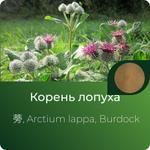 Лопуха экстракт сухой https://altai-extracts.ru/extract-lopuha