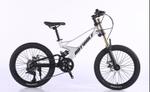 Велосипед Hot Wolf 20HW-577