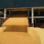 Поставки пшеницы в Саудовскую Аравию