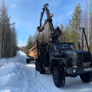 Вывозка леса